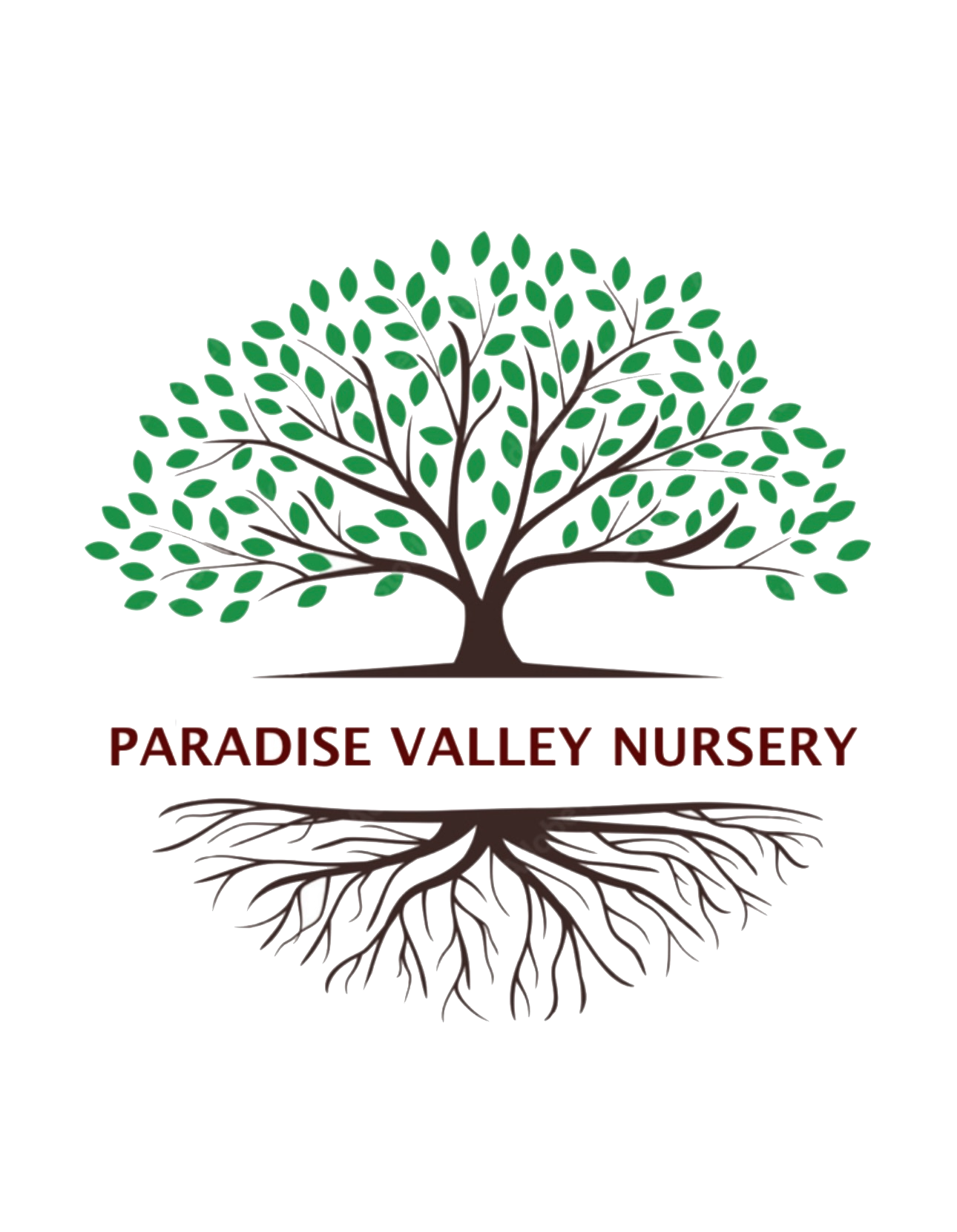 Paradise Valley Nursery